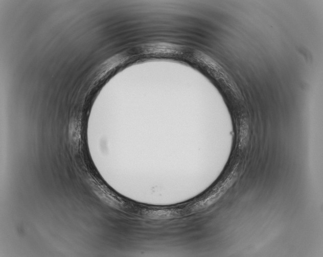 X0000111451017200908241201