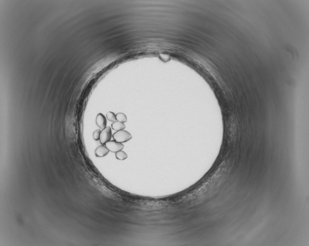 X0000111451018200908241201
