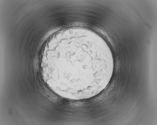 X0000111451019200908241201