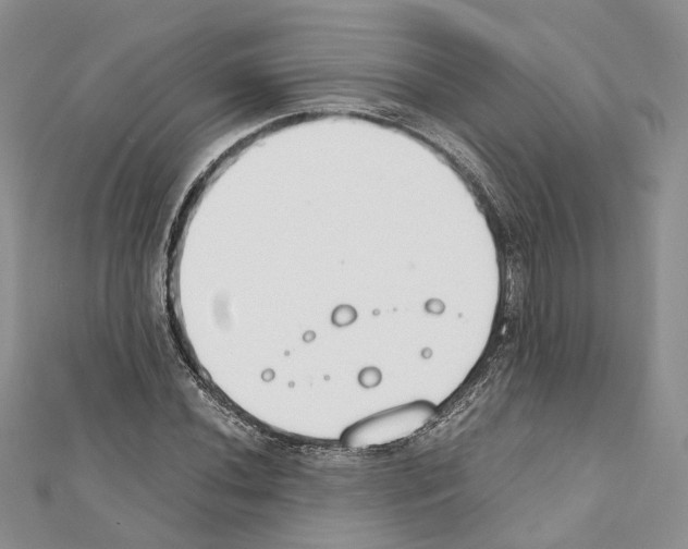 X0000111451020200908241201