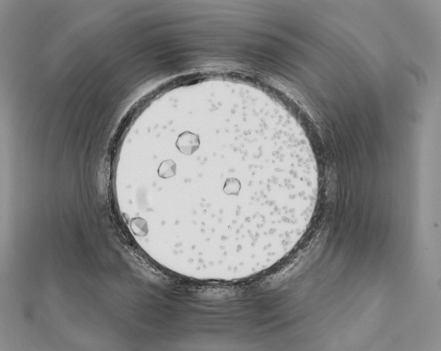 X0000111451021200908241201