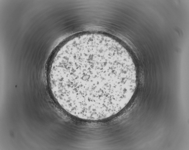 X0000111451022200908241201
