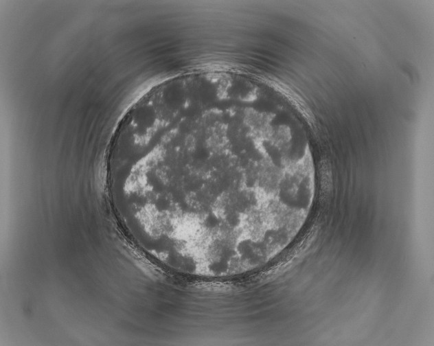 X0000111451023200908241201