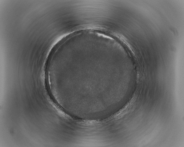 X0000111451024200908241201