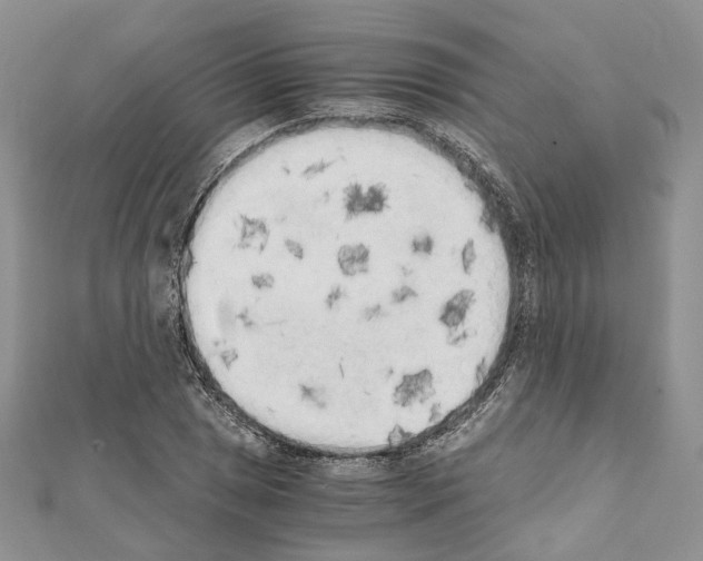 X0000111451025200908241201