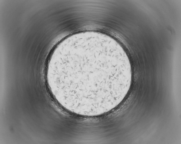 X0000111451026200908241201
