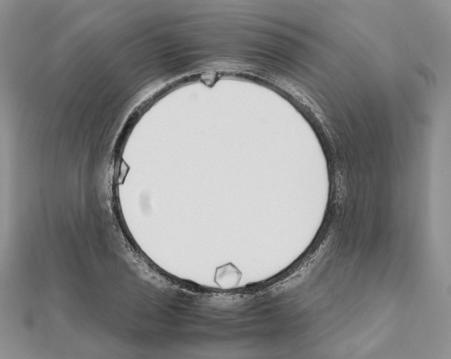 X0000111451029200908241201