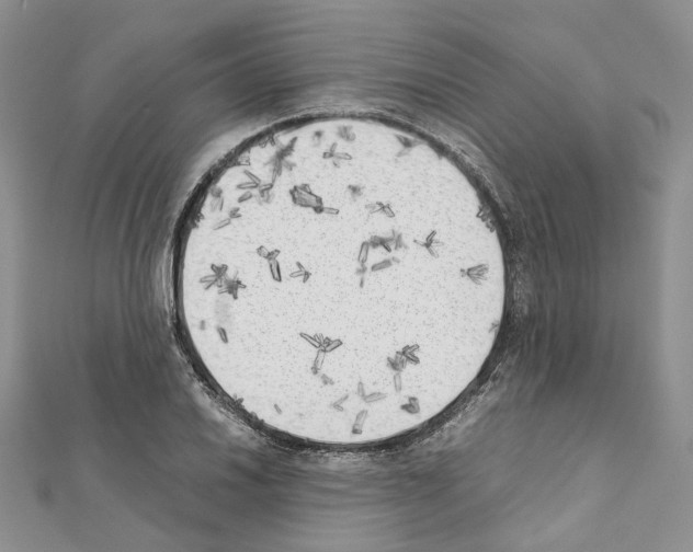 X0000111451030200908241201
