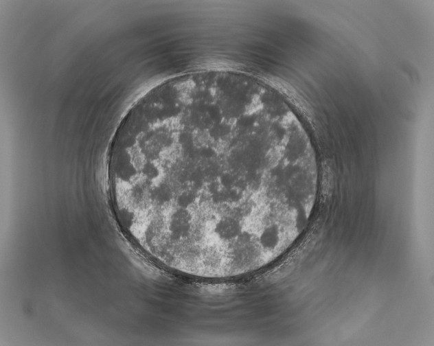 X0000111451031200908241201