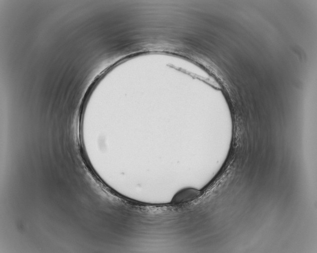 X0000111451032200908241201