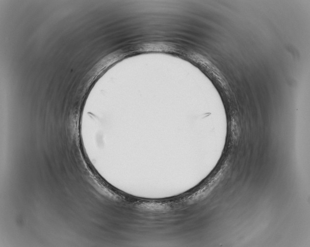 X0000111451033200908241201