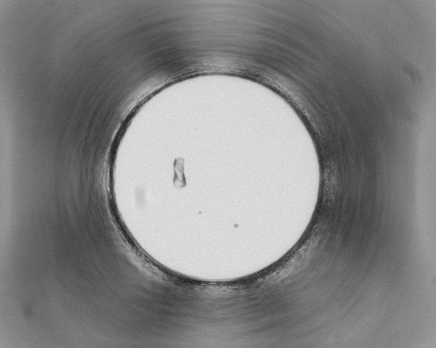 X0000111451034200908241201