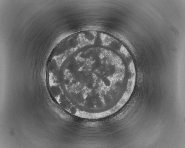 X0000111451035200908241201