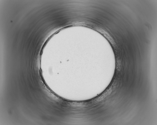 X0000111451036200908241201