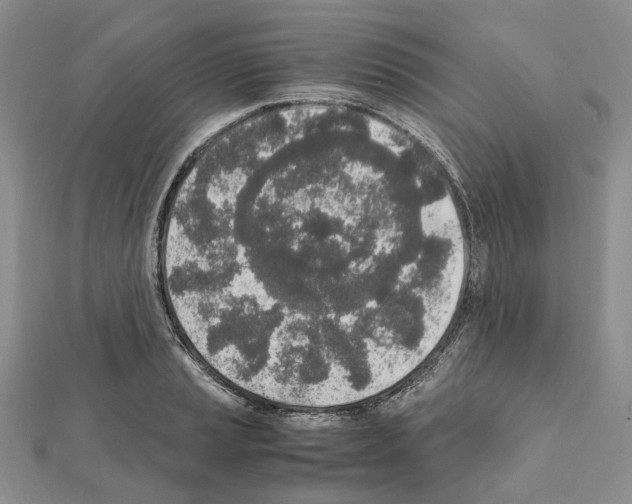 X0000111451037200908241201