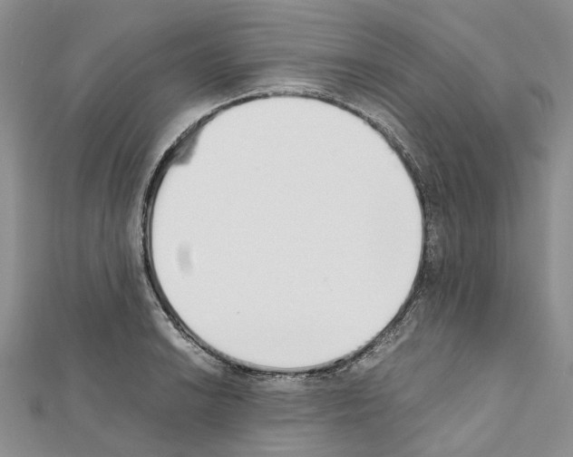 X0000111451038200908241201