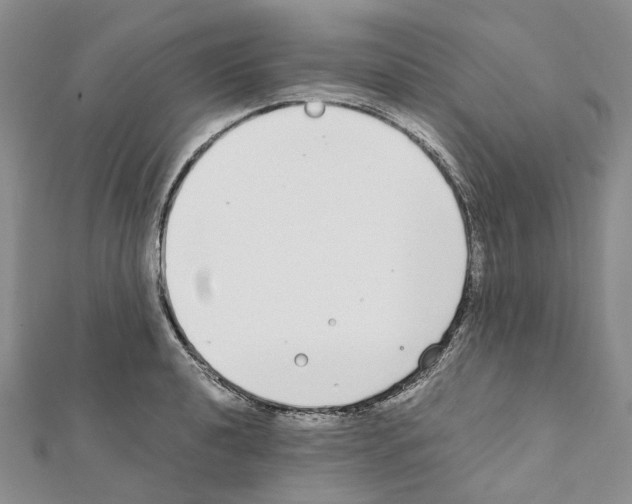 X0000111451040200908241201