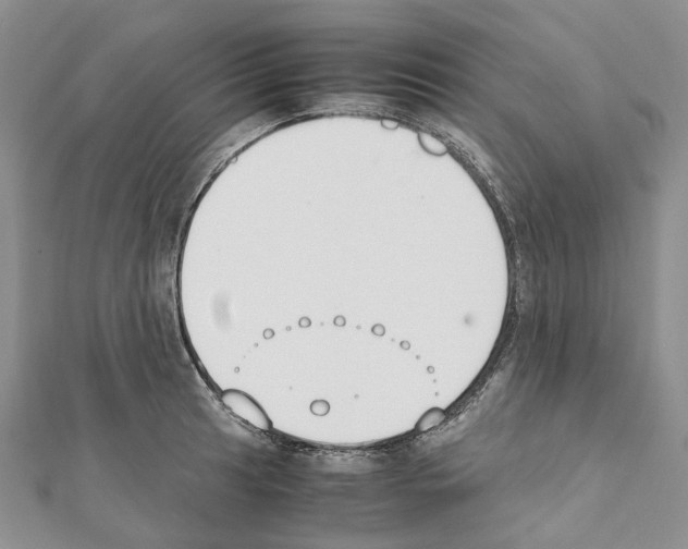 X0000111451041200908241201