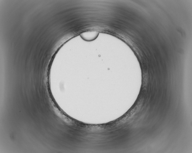 X0000111451042200908241201