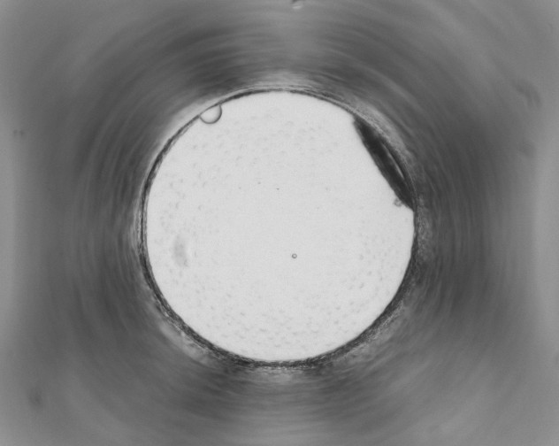 X0000111451044200908241201