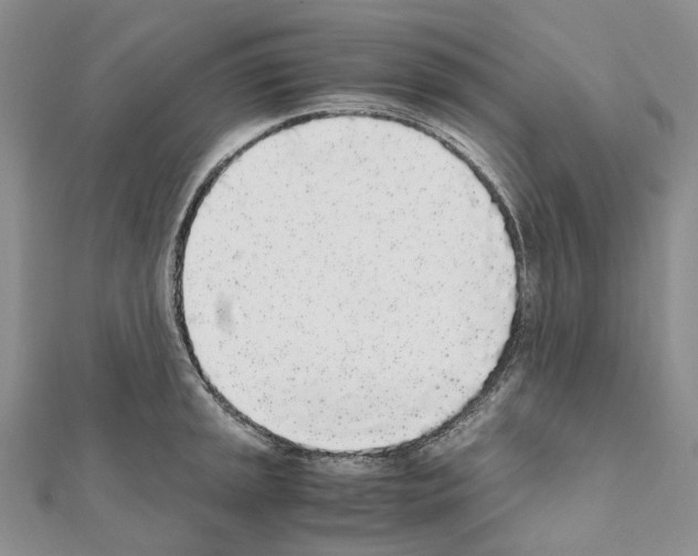 X0000111451045200908241201