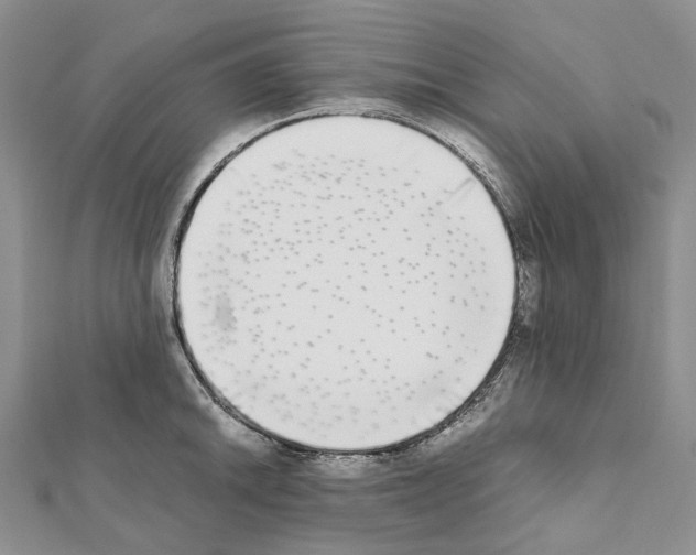 X0000111451046200908241201