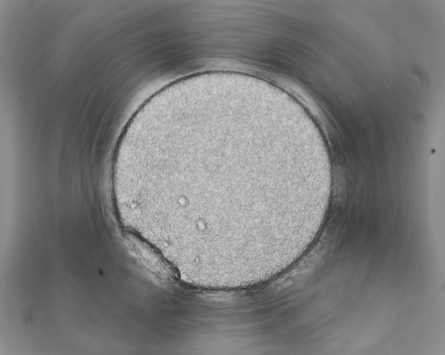 X0000111451048200908241201