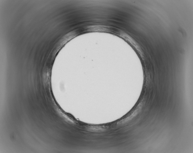X0000111451049200908241201
