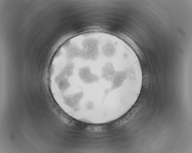 X0000111451051200908241201