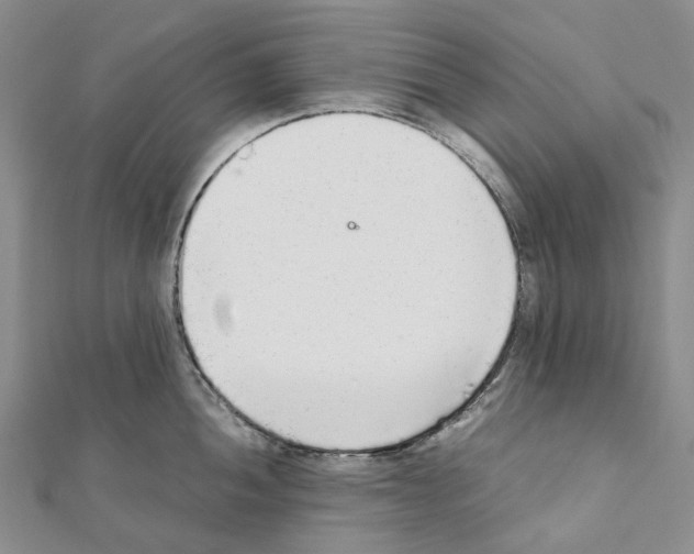 X0000111451052200908241201