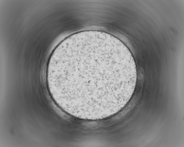 X0000111451054200908241201