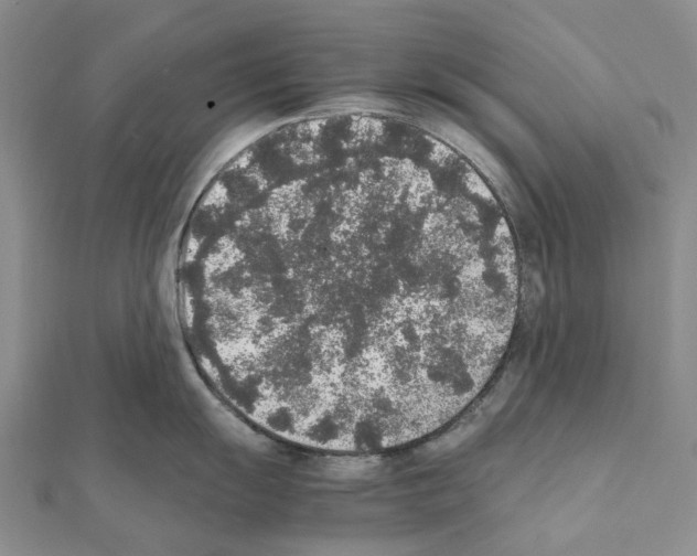 X0000111451055200908241201