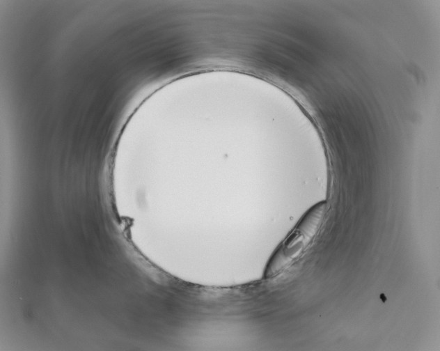 X0000111451056200908241201