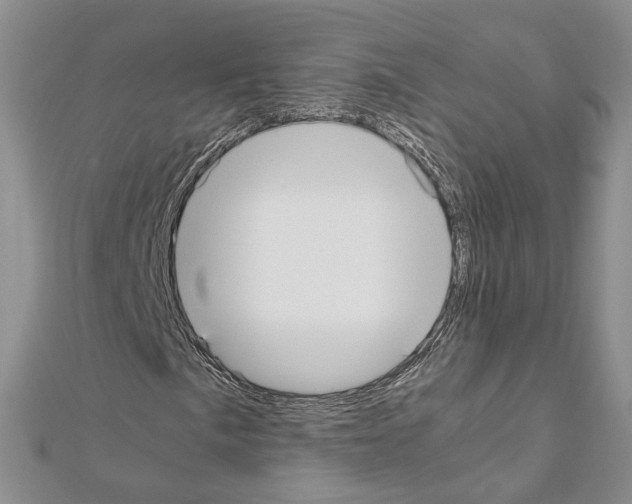 X0000111451057200908241201