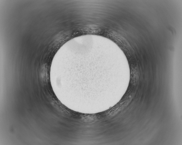X0000111451058200908241201