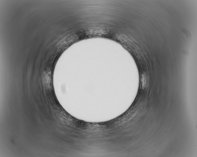 X0000111451059200908241201