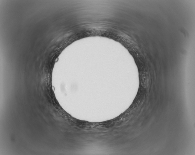 X0000111451061200908241201