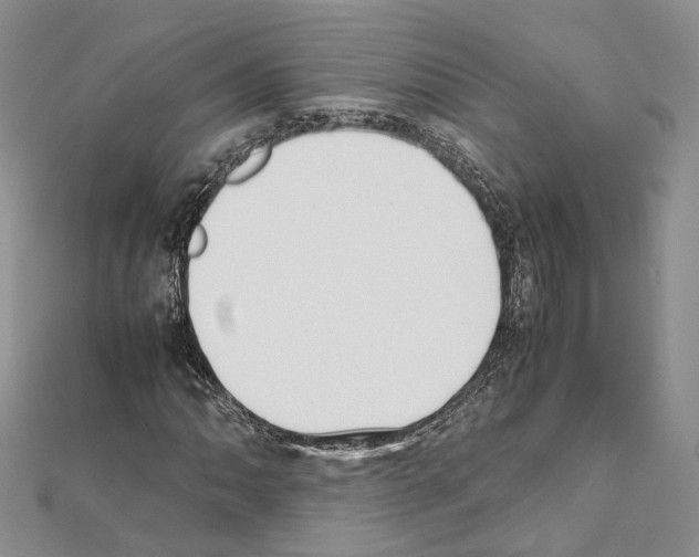 X0000111451062200908241201