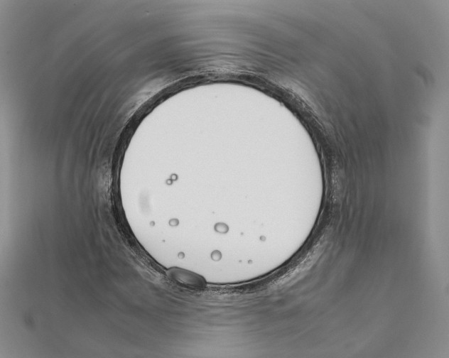 X0000111451065200908241201