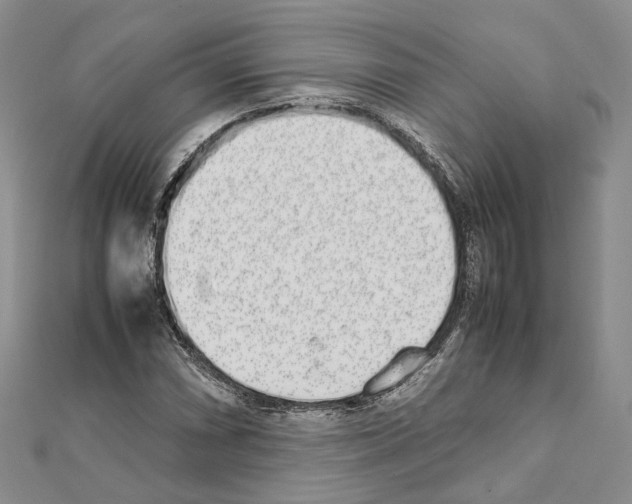 X0000111451066200908241201