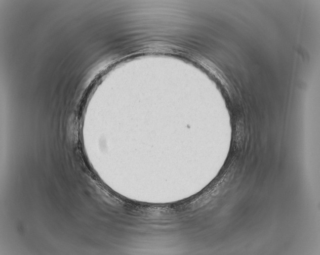 X0000111451067200908241201