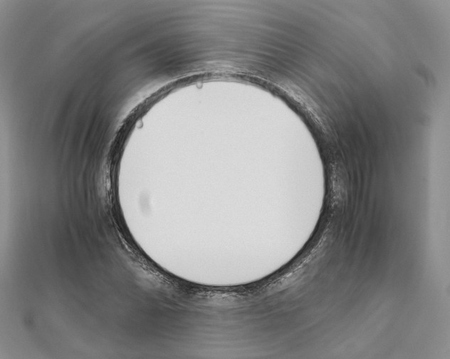 X0000111451070200908241200