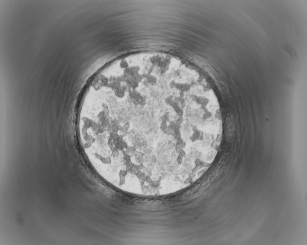 X0000111451071200908241200