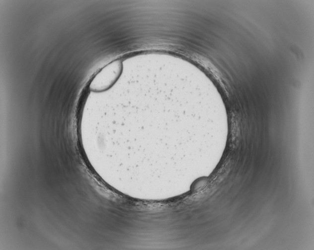 X0000111451072200908241200