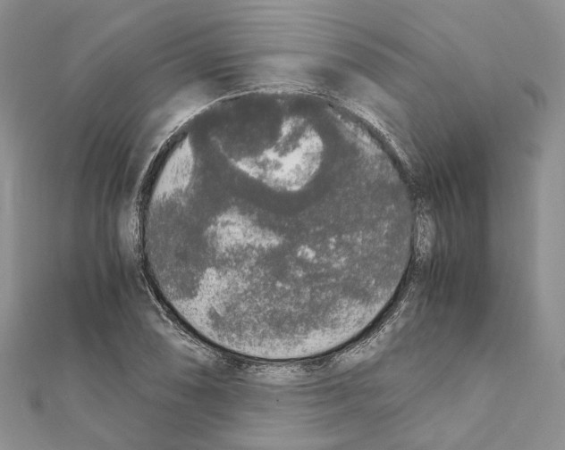 X0000111451074200908241200