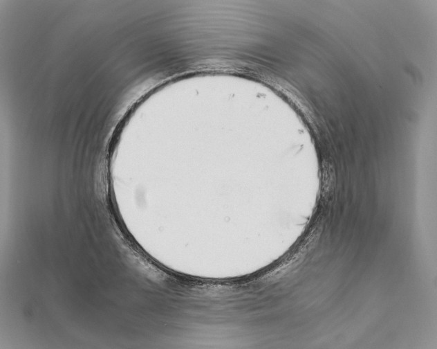 X0000111451075200908241200