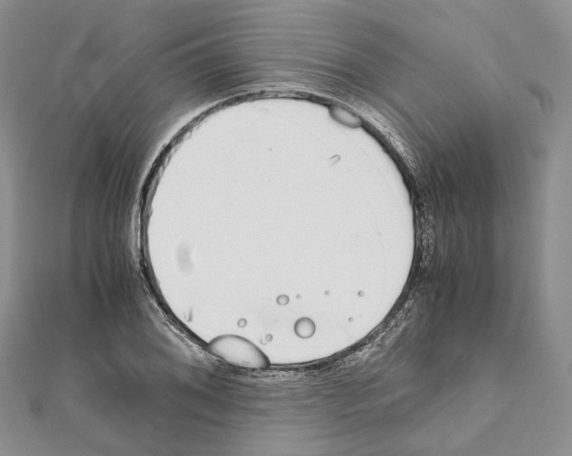 X0000111451076200908241200