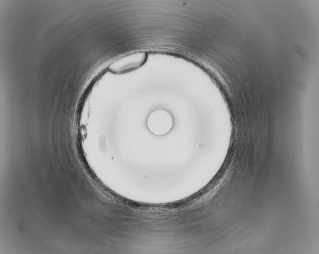 X0000111451077200908241200