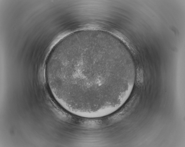 X0000111451078200908241200