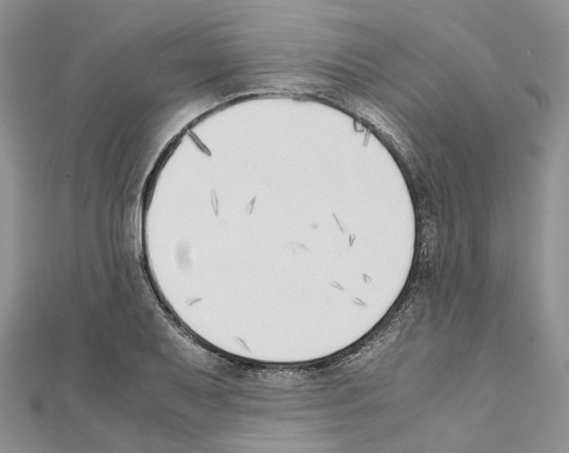 X0000111451079200908241200